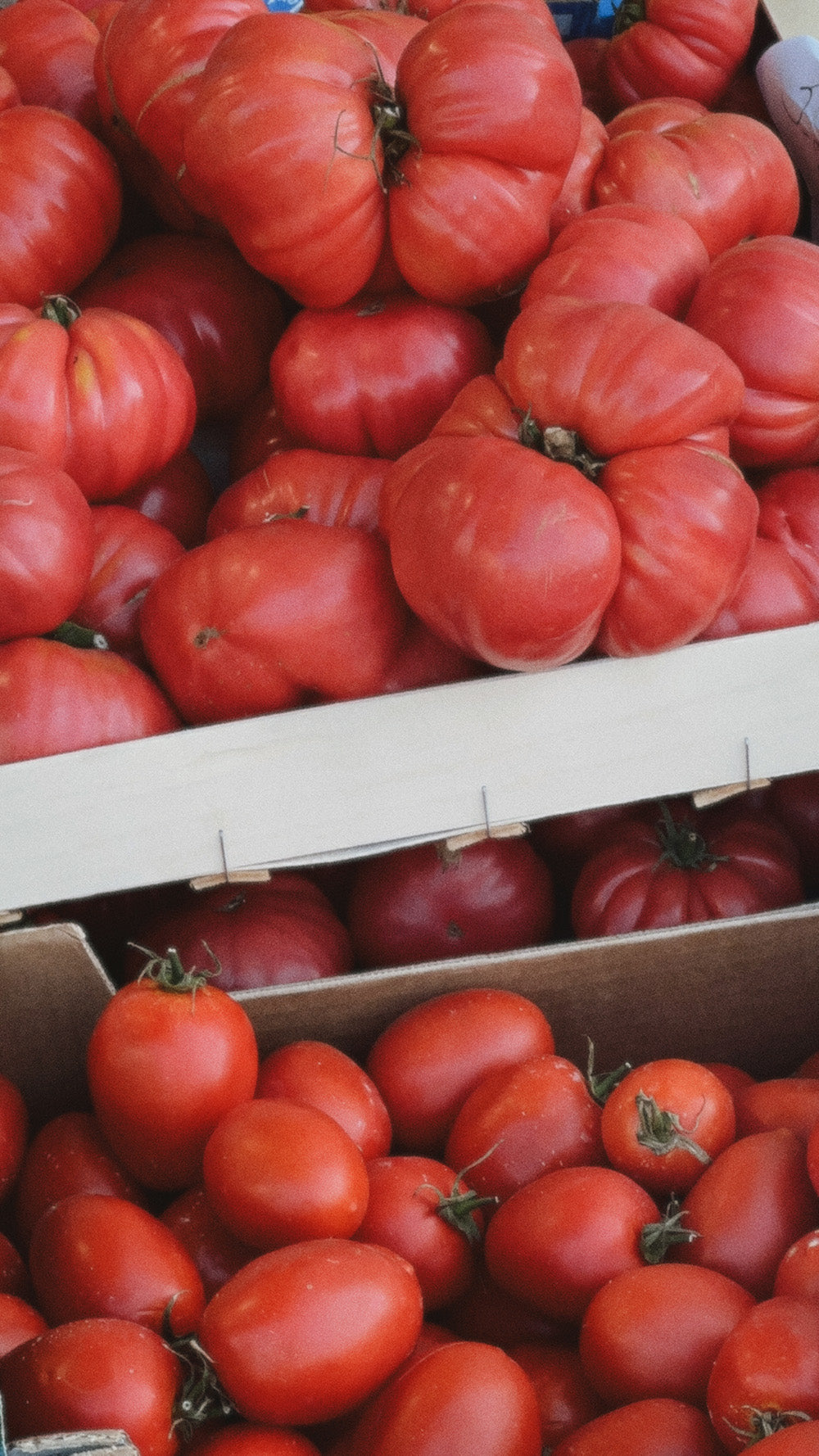 B-roll Checklist 🍅
